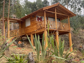 Cabaña Monarca